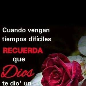 Meet your Posher, Sanches